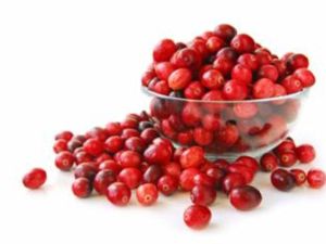 صورة التوت البري 