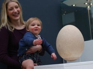 غيرة الأمهات من بعضهن لها تأثير سيء على الأطفال 