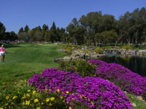 الحركات البسيطة تقي من الإصابة بمرض السكري 