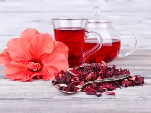 يعتبّر مشروب الكركديه مطهراً للقضاء على وباء الكوليرا

