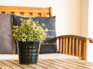 أول خطوة يجب القيام بها في المُحافظة على حديقة المنزل