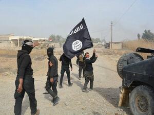 Daesh fighters in Iraq (AFP/Younis Al-Bayati)