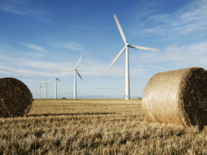 Idaho, in the rural midwest of America, is facing issues with discrimination and harassment of Arab students. (AFP/File)