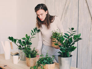 تتشابه كافة أنواع النباتات بحاجتها إلى الماء والغذاء وضوء الشمس للنمو  تتشابه كافة أنواع النباتات بحاجتها إلى الماء والغذاء وضوء الشمس للنمو