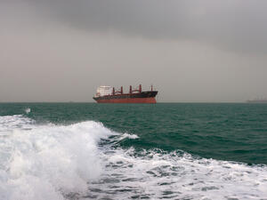 The Iranian fleet is ranked 21st among national fleets, with over 700 vessels operating in the Caspian Sea, Persian Gulf and Gulf of Oman. (Shutterstock)