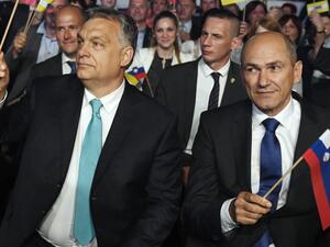 Slovenian Democratic Party (Twitter)