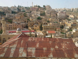 View of Salt (Twitter) 