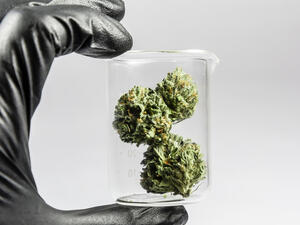 (Shutterstock/File Photo)