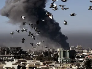 هذه الطائرة الإسرائيلية العاشرة التي تتحطم منذ بداية العام،