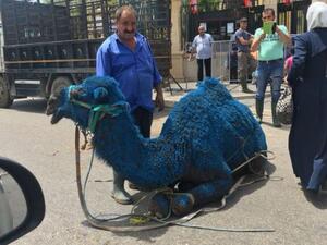 Blue is the official colour of Hariri's Future Movement [Twitter]
