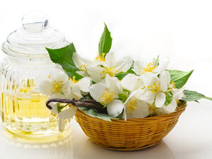 زيت الياسمين يجعل البشرة أكثر نعومة ونضارة
