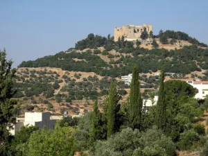 The projects in Ajloun would create job opportunities for around 1,000 residents.  (Wikimedia Commons)