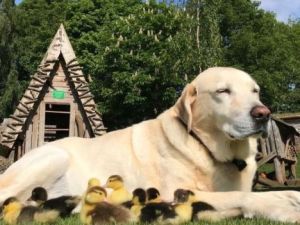 (Shutterstock/File Photo)