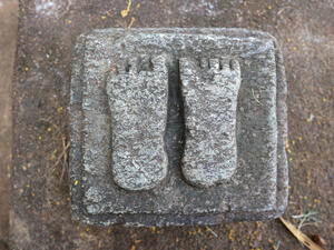 (Shutterstock/ File Photo)