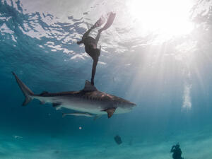 (Shutterstock/ File Photo)