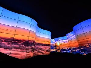 LG OLED Canyon