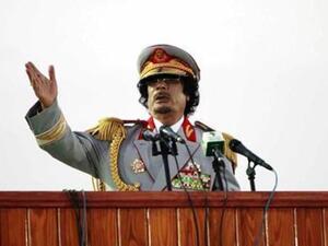 القذافي "قد يكون مجنونا لكنه ليس غبيا"