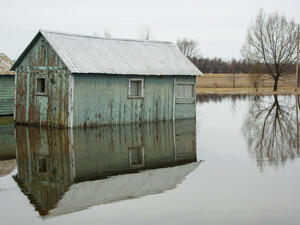 (Shutterstock/File Photo)