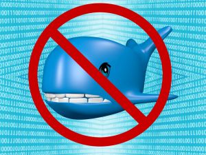 (Shutterstock/File Photo)