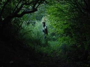 Nazir Malik in Dachigam National Park (Twitter)