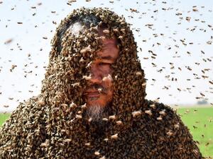 Zuhair Fatani (Twitter)