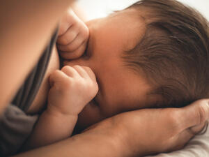 (Shutterstock/File Photo)