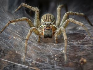 (Shutterstock/File Photo)