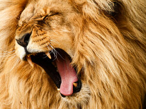 (Shutterstock/File Photo)