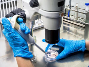 (Shutterstock/ File Photo)