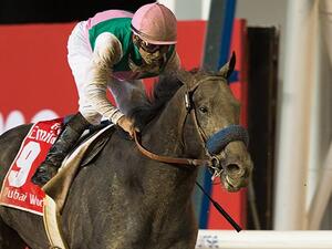Dubai World Cup Carnival at Meydan Racecourse