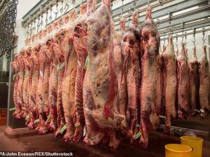 (Shutterstock/ File Photo)