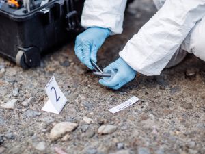 (Shutterstock/ File Photo)