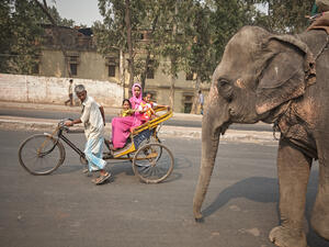 (Shutterstock/ File Photo)