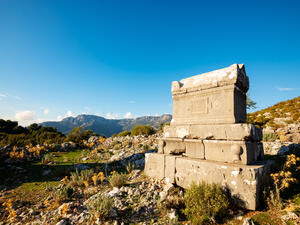 (Shutterstock/ File Photo)