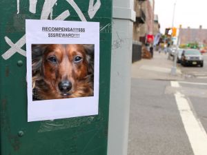 (Shutterstock/ File Photo)