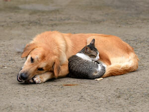 (Shutterstock/ File Photo)