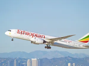 Ethiopian Airlines plane crashes with 149 passengers and 8 crew onboard. (Shutterstock/ File Photo)