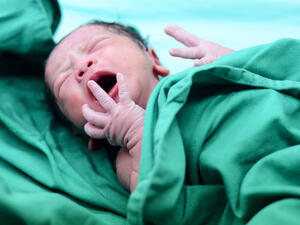 (Shutterstock/ File Photo)