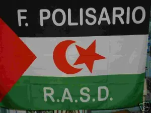 علم جبهة تحرير الساقية الحمراء ووادي الذهب (بوليساريو)