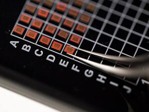 NYUAD Logic Locked Chip