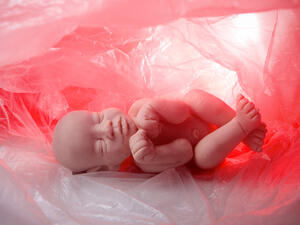 بعد بلوغك الشهر الأول من الحمل يصبح الجنين بحجم 4 ميليميترات