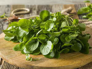 يعتبر الجرجير أحد المواد المفيدة بشكلٍ مباشرٍ للشعر