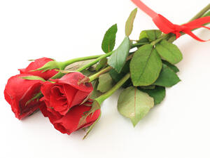 لكل وردة هوية متفردة ومتميزة عن غيرها