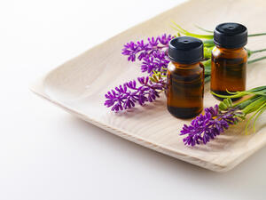 يساعد اللافندر على تحطيم أغشية خلايا الفطريات