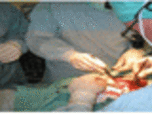 According to Mani, then-Crown Prince Fahd invited Khashoggi, Shahin, and Mani to the clinic. There, they discussed various global issues, the conversation was held in English. “Fahd was a very friendly host,” Mani said