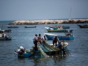 Palestinian fishermen collect their catch off the coast of Gaza City on July 6, 2014. (AFP/Mahmud Hams)