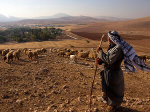 Forming a third of the occupied West Bank and with 88 percent of its land classified as Area C -- under full Israeli military control -- the Jordan Valley has long been a strategic area of land unlikely to return to Palestinians following Israel's occupation in 1967. (AFP/File)