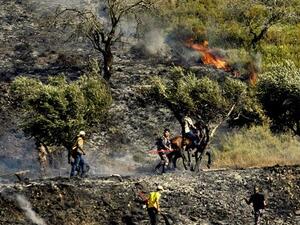 Palestinians try to put out fire set by Israeli settlers in an olive grove near the West Bank village of Burin on June 3, 2013. (AFP/File)