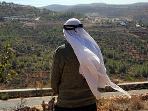 Palestinian farmer Abbas Yusef, 70, looks towards his olive trees. (AFP/File)