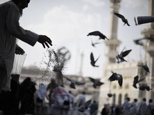 A Muslim pilgrim feeds pigeons as worshipers arrive for a prayer at Mecca's Grand Mosque, Saudi Arabia. (AFP/File)